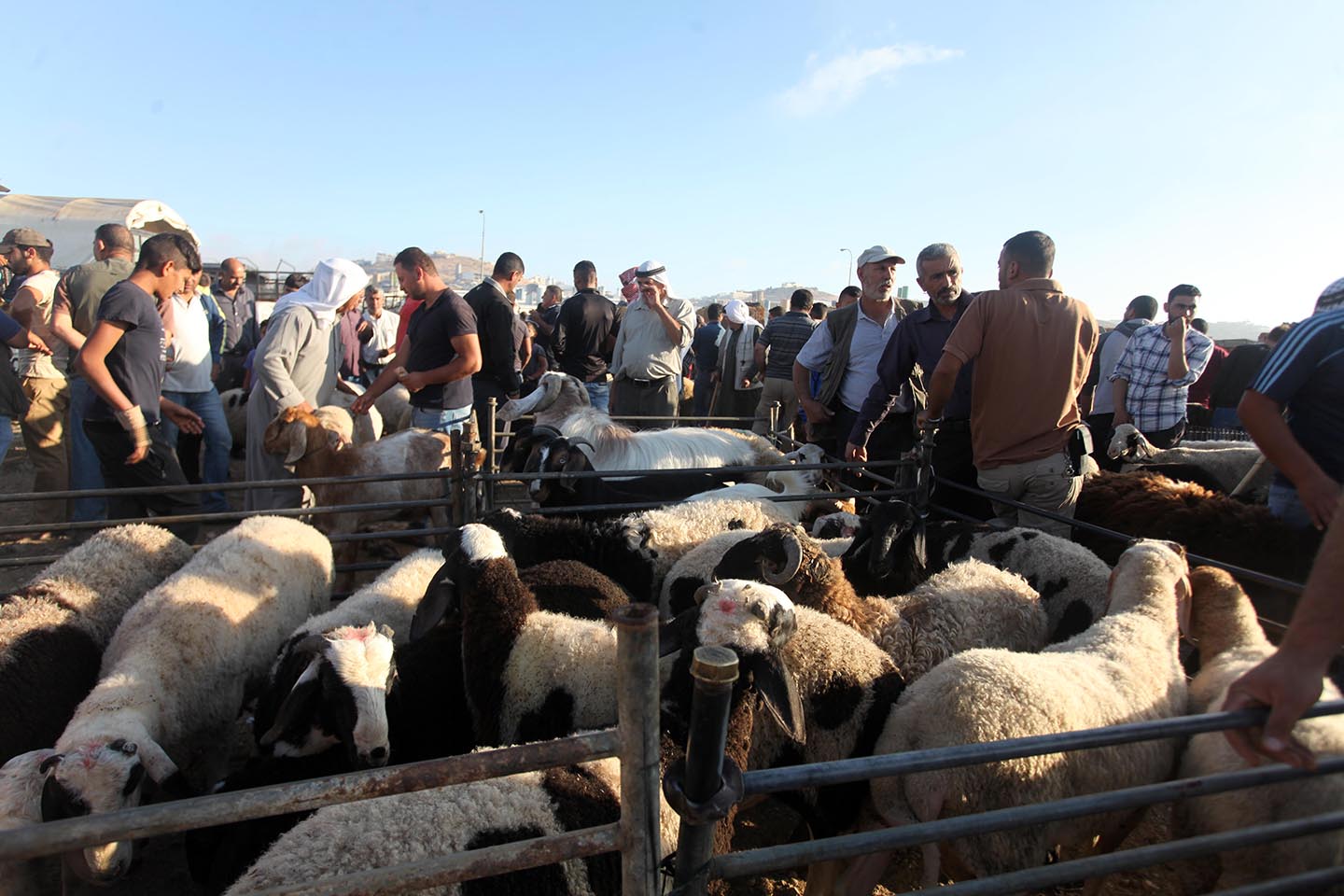 صورة أرشيفية "وفا"