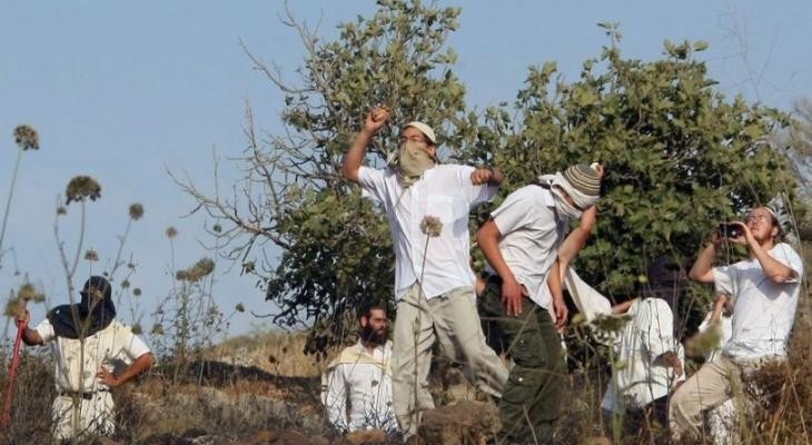 مستوطنون يعتدون على المزارعين في مسافر يطا (صورة أرشيفية)
