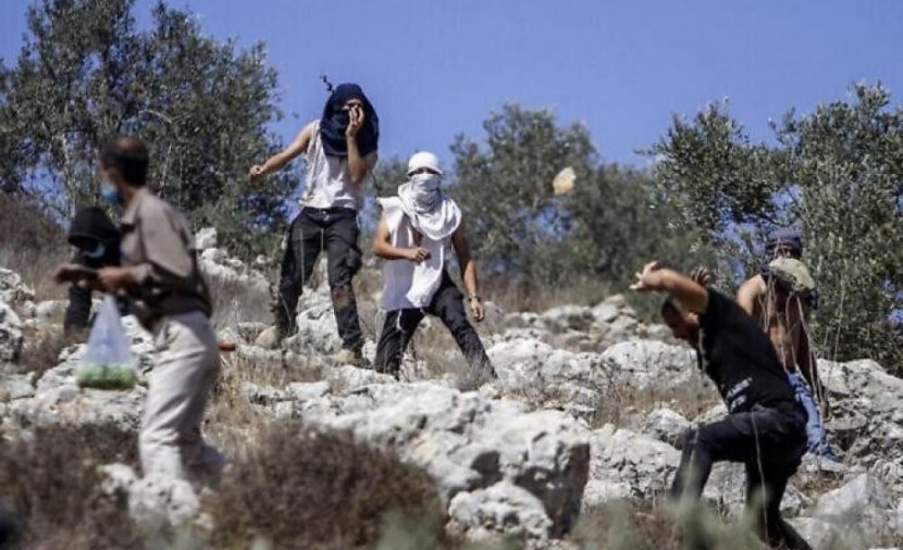 صورة أرشيفية