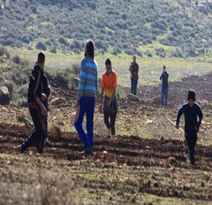 صورة أرشيفية