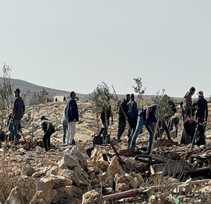 صورة ارشيفية